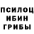 Галлюциногенные грибы прущие грибы Bounty Dropster