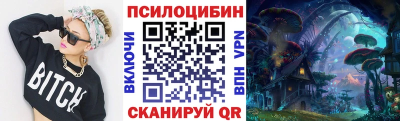 Галлюциногенные грибы мухоморы  маркетплейс наркотические препараты  Стерлитамак 